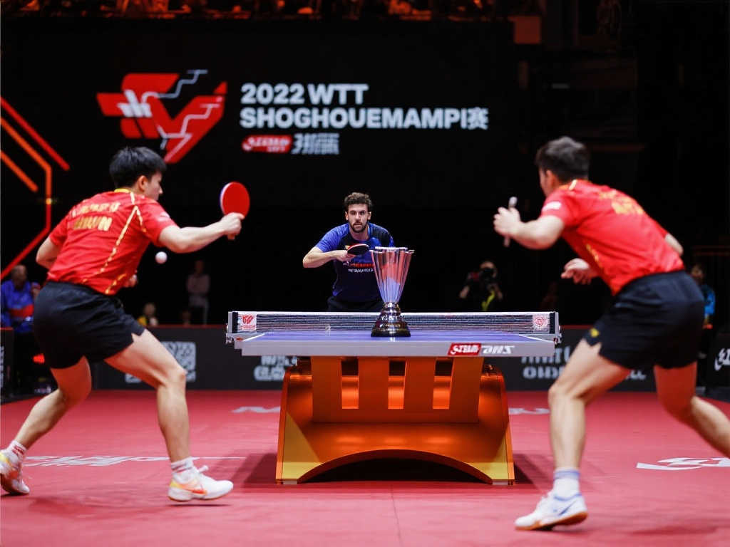 了显著进步 了显著进步