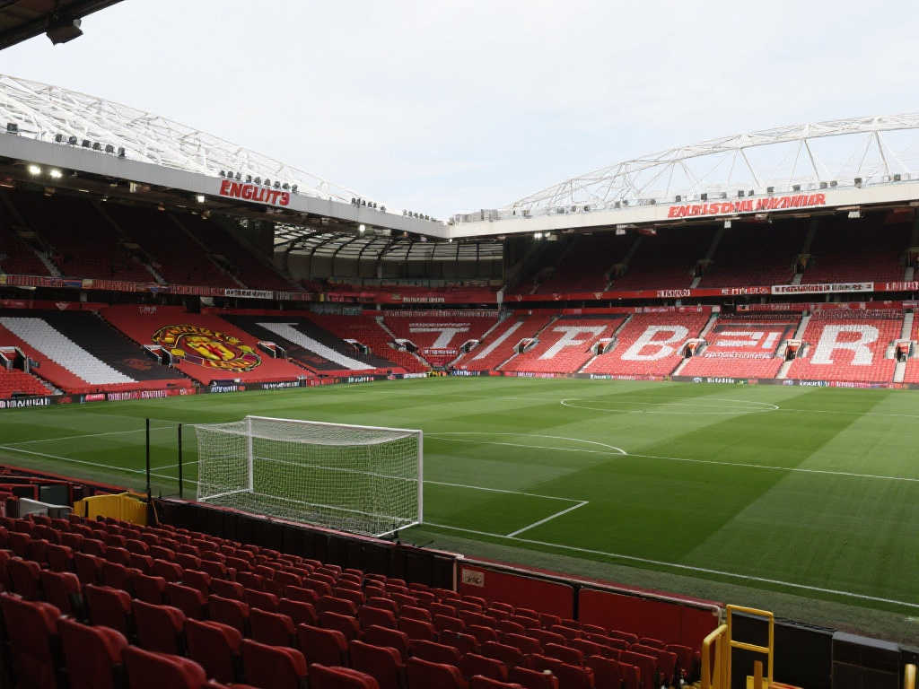 他用卓越的 他用卓越的