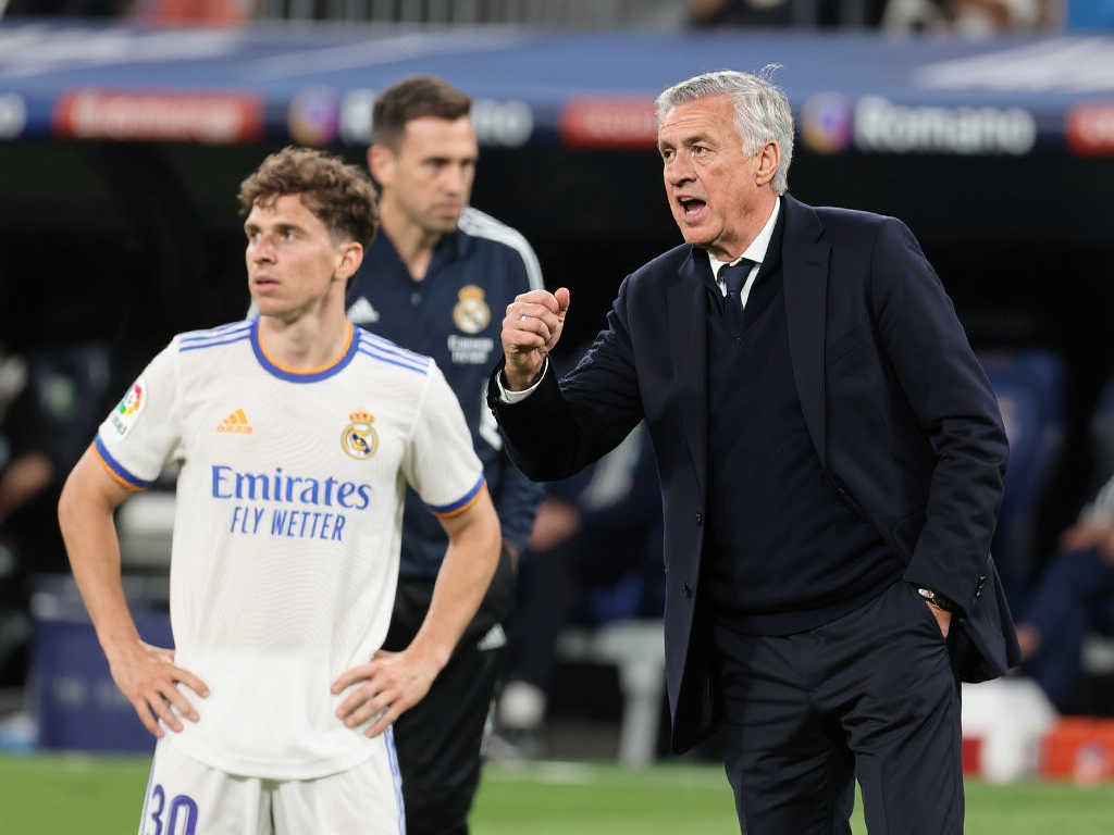 牌和红牌争 牌和红牌争